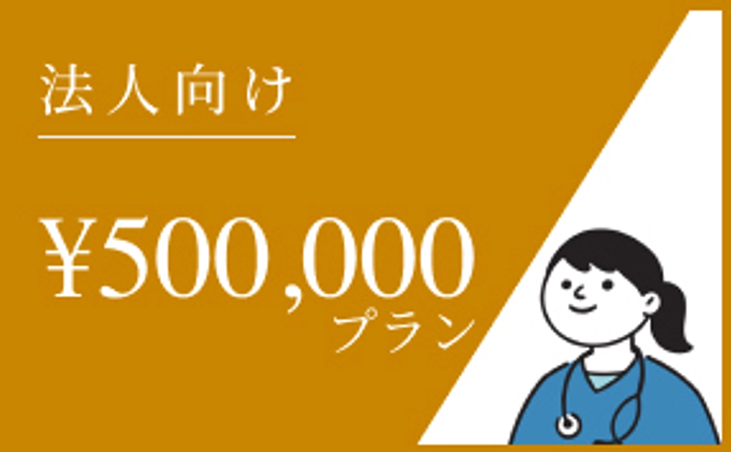 （法人向け）500,000円プラン