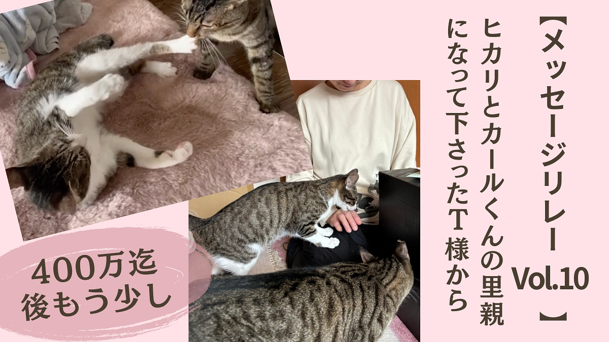 【メッセージリレーVol.10】ヒカリとカールくんが里親に行きました。