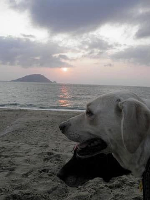 東日本大震災より13年