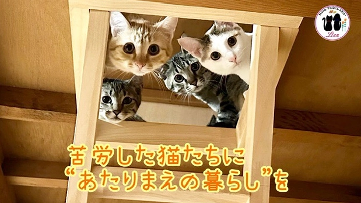 小さな命を守るため!!リアンサポーター募集