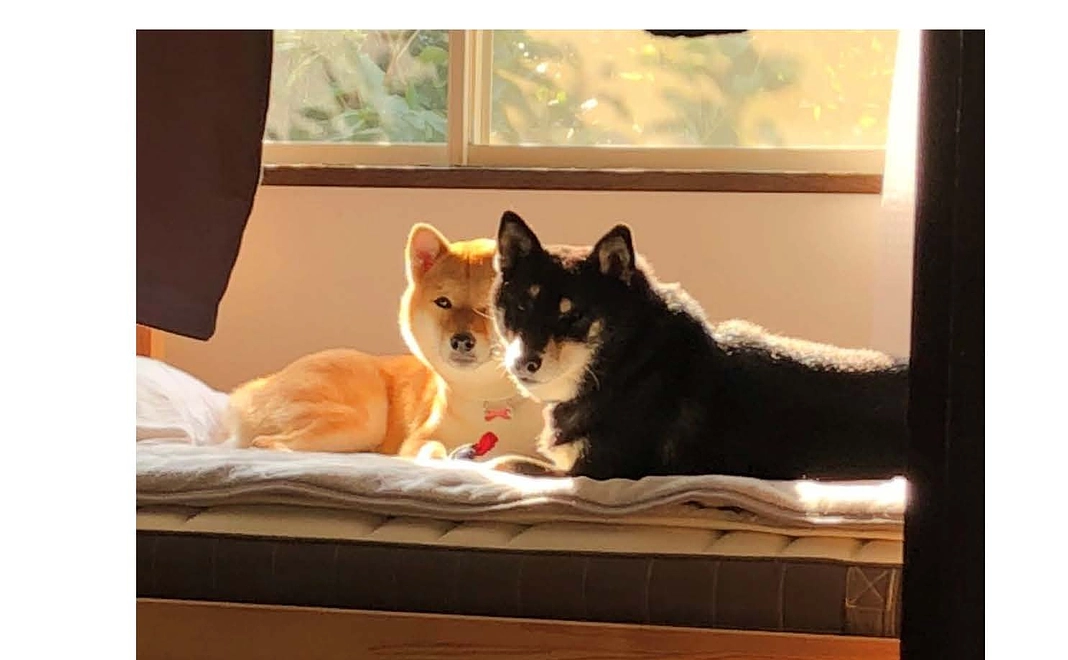 応援ご寄付コース　2000円