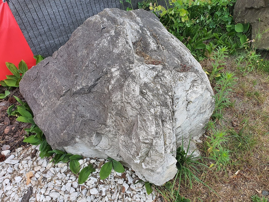 日本庭園造り　第一日