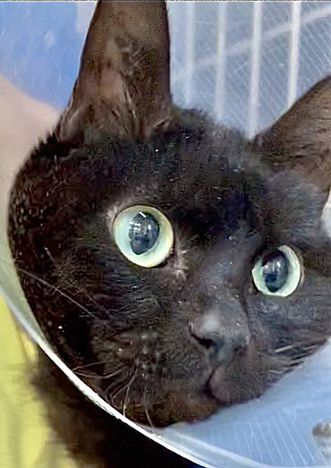 ルン君のお見舞い