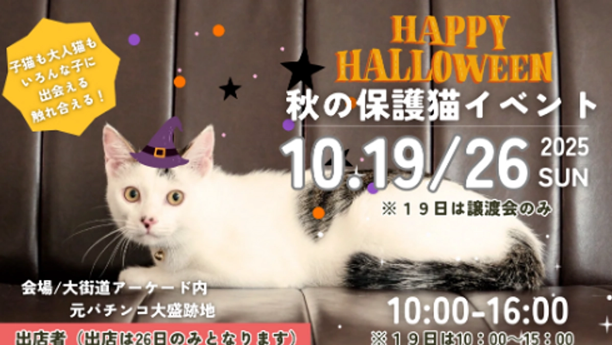 10月26日_愛媛県松山市にて譲渡会開催のお知らせ