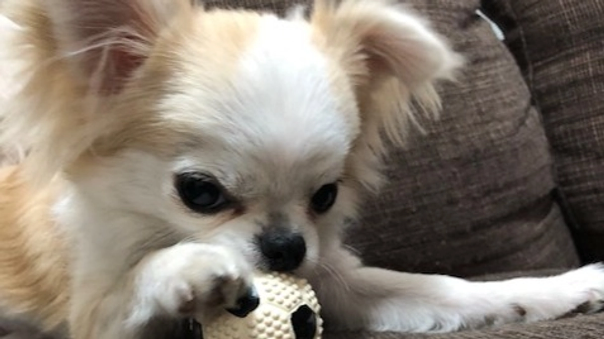 ”術後の経過報告⑩”です。