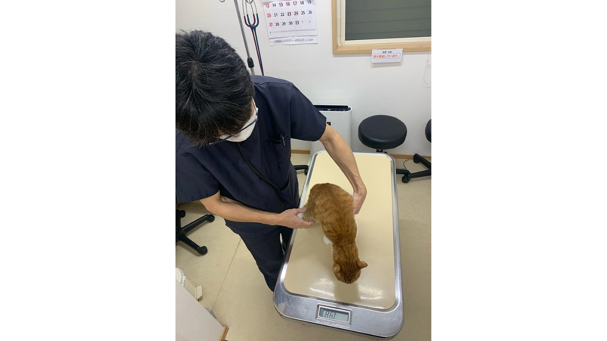 【あと12日！ネクストゴールまであと127万円！】戸塚豊様から応援メッセージをいただいております！