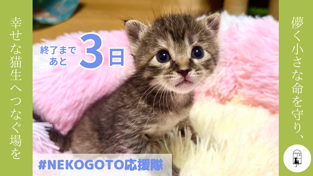 あと3日！あたたかい応援メッセージのご紹介