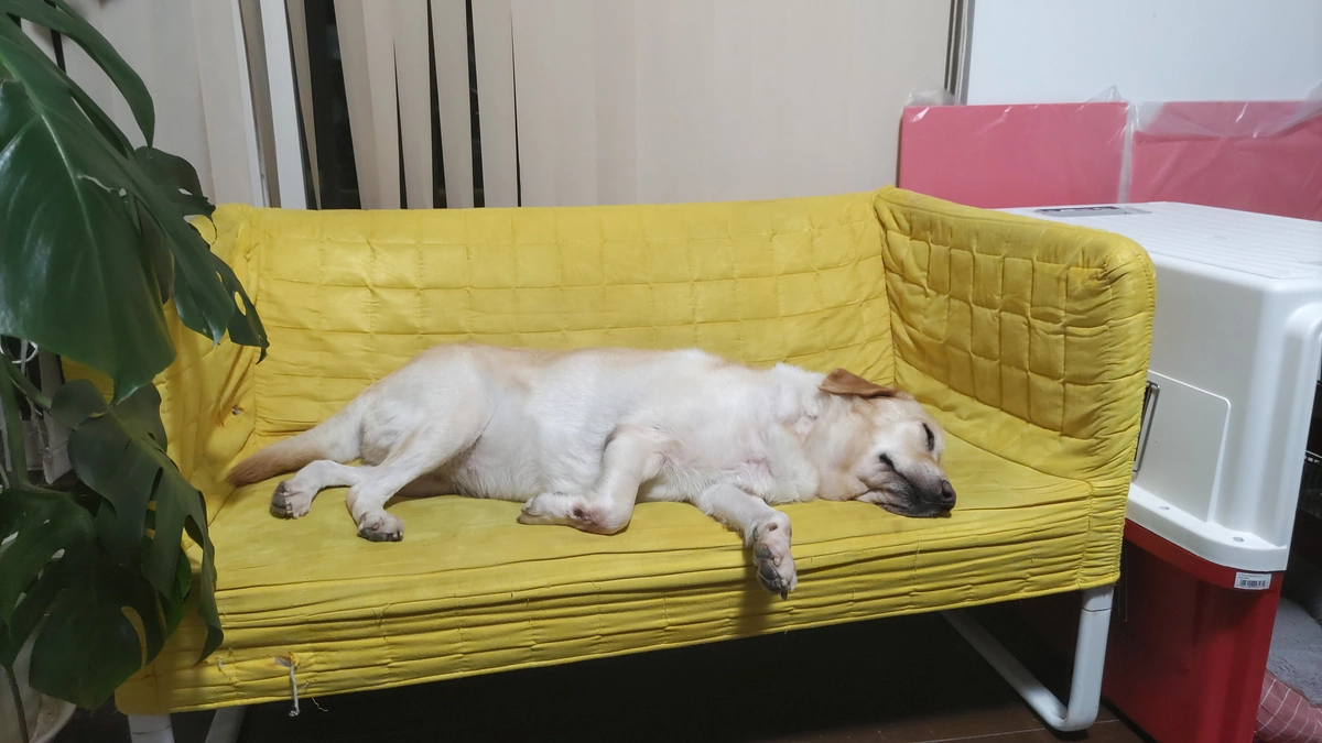 クラウドファンディング開始です