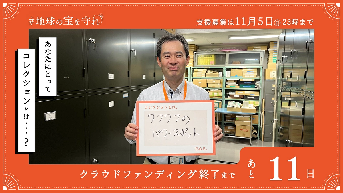 終了まであと11日