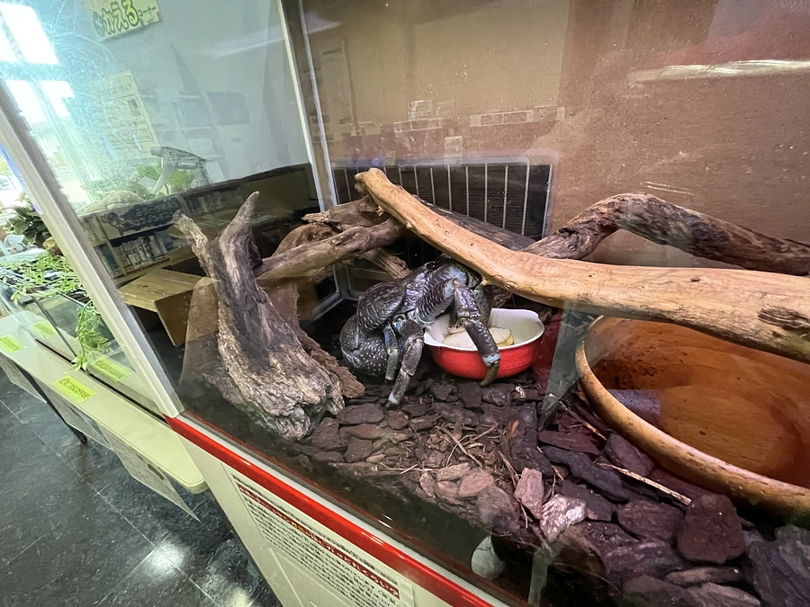 誰もが楽しめ、学べるかにっこ館であり続けるため、この先も、生き物とともに挑戦し続けたい！