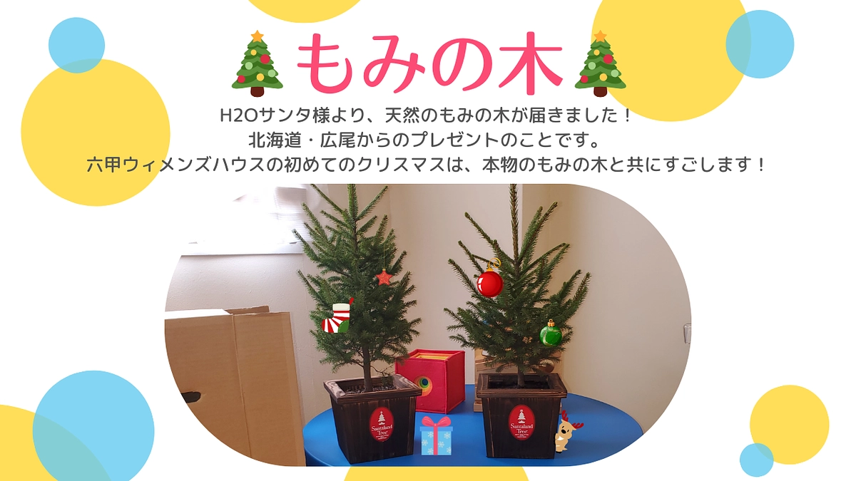 もみの木が届きました！