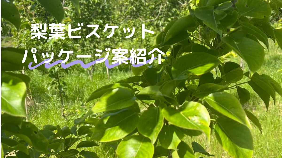 梨葉ビスケットのパッケージ案を考えました！