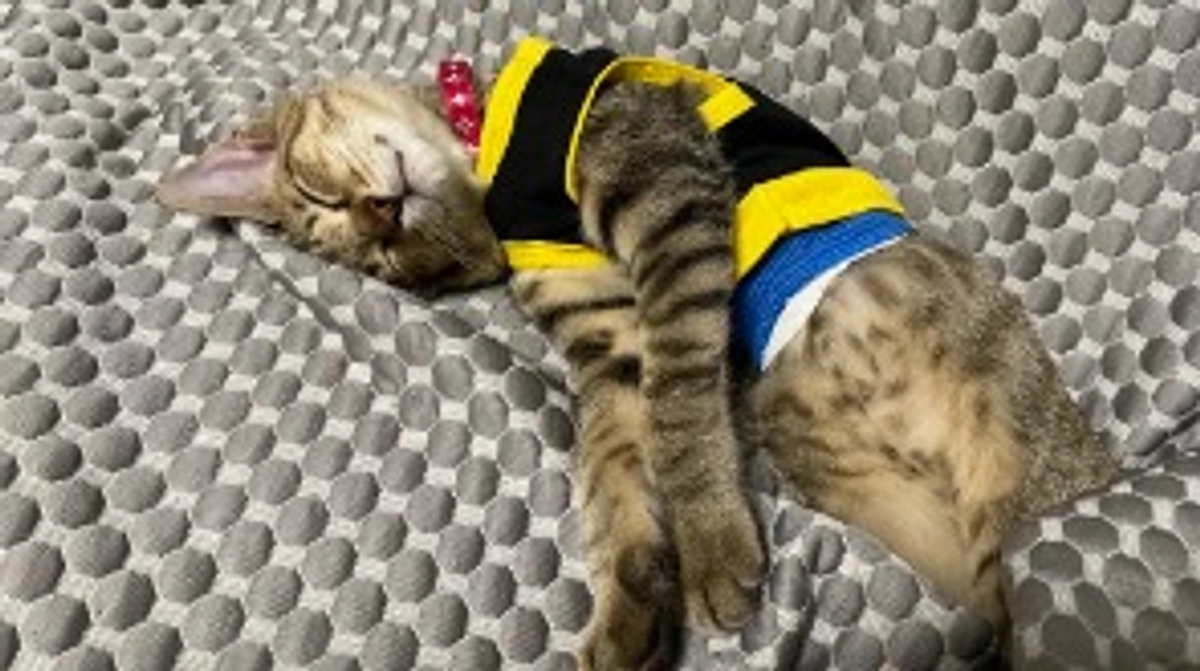 9/2(土)術後9回目の診察