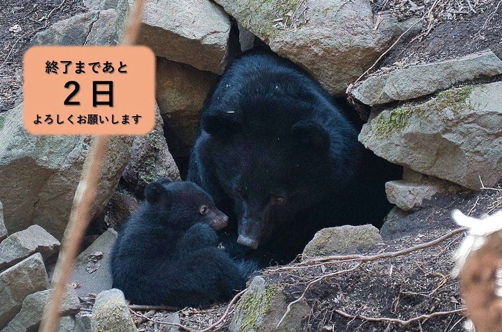 残り２日となりました！！