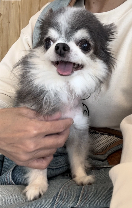 術後半年検診を受けて来ました🏥