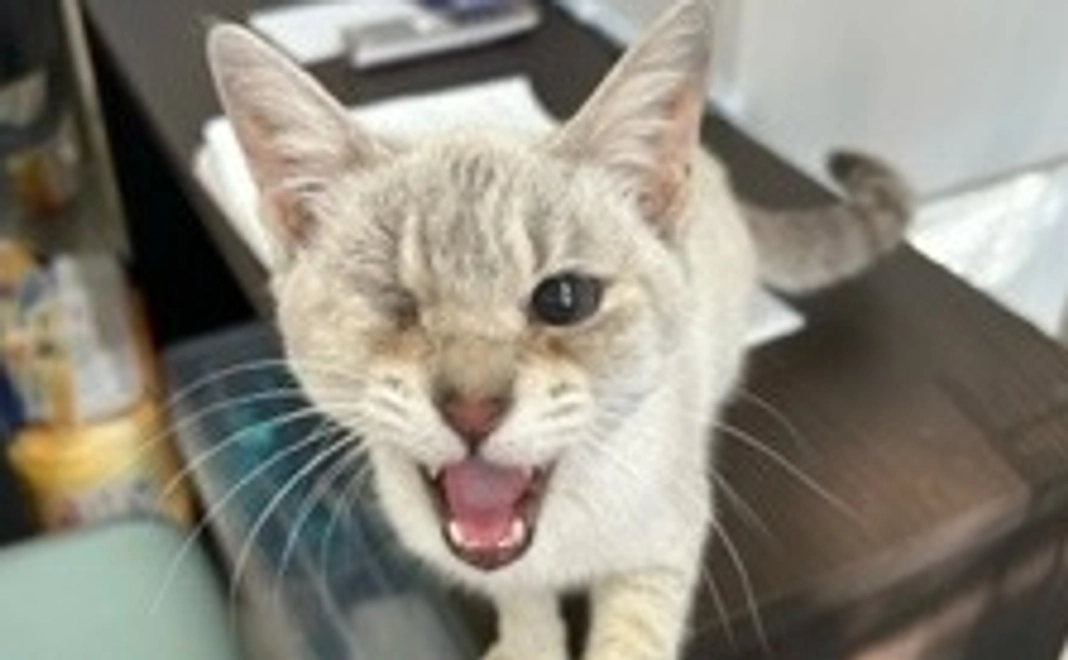 一袋のご飯が買える!でもそれが大事なんです。