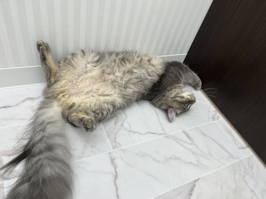 投薬58日目　2クール目　治療費明細