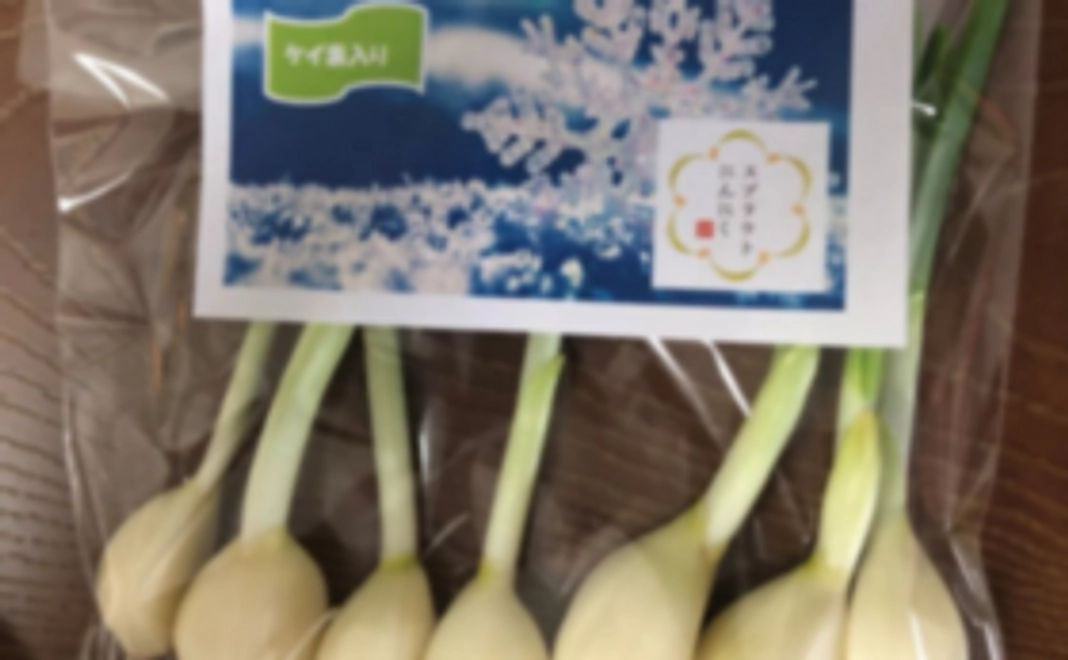 まずはお試し！ミニ応援コース