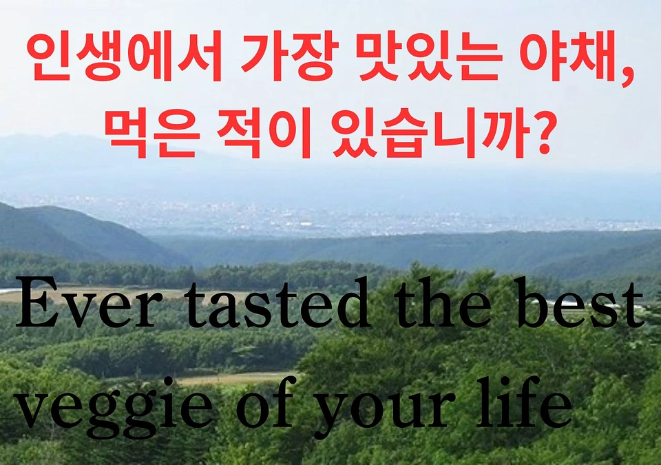 오키 양평의 야채는 진짜는 아무것도 붙이지 않고, 그대로가 제일 맛있다고 하고 있습니까?