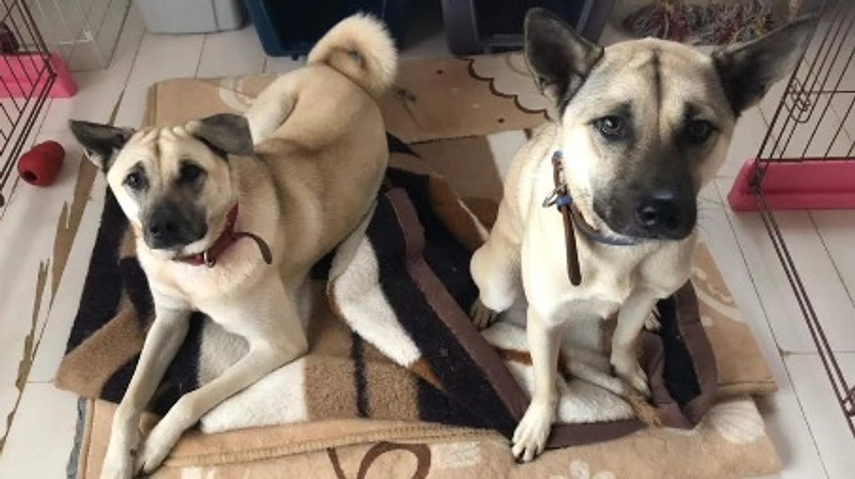 本日よりスタート！ご支援よろしくお願いいたします！