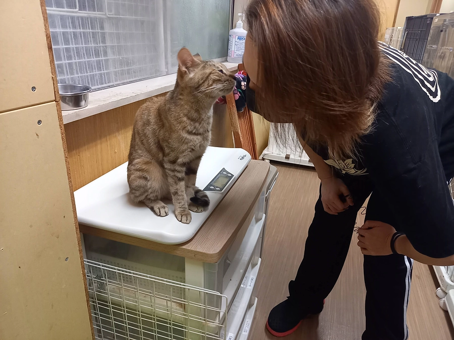 改めて感じた事。