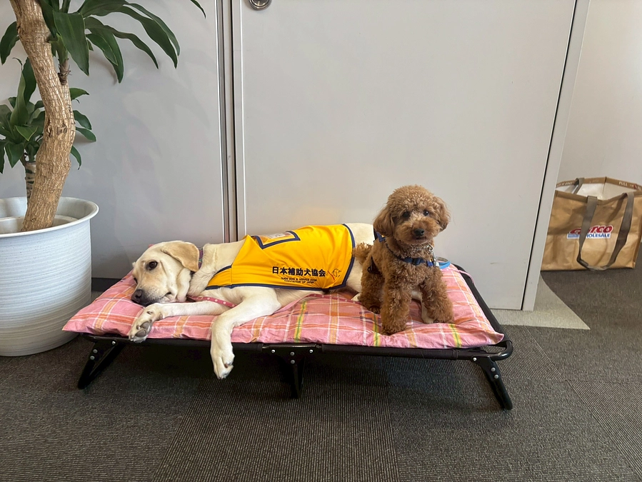 企業ファシリティドッグ活動を行いました！！