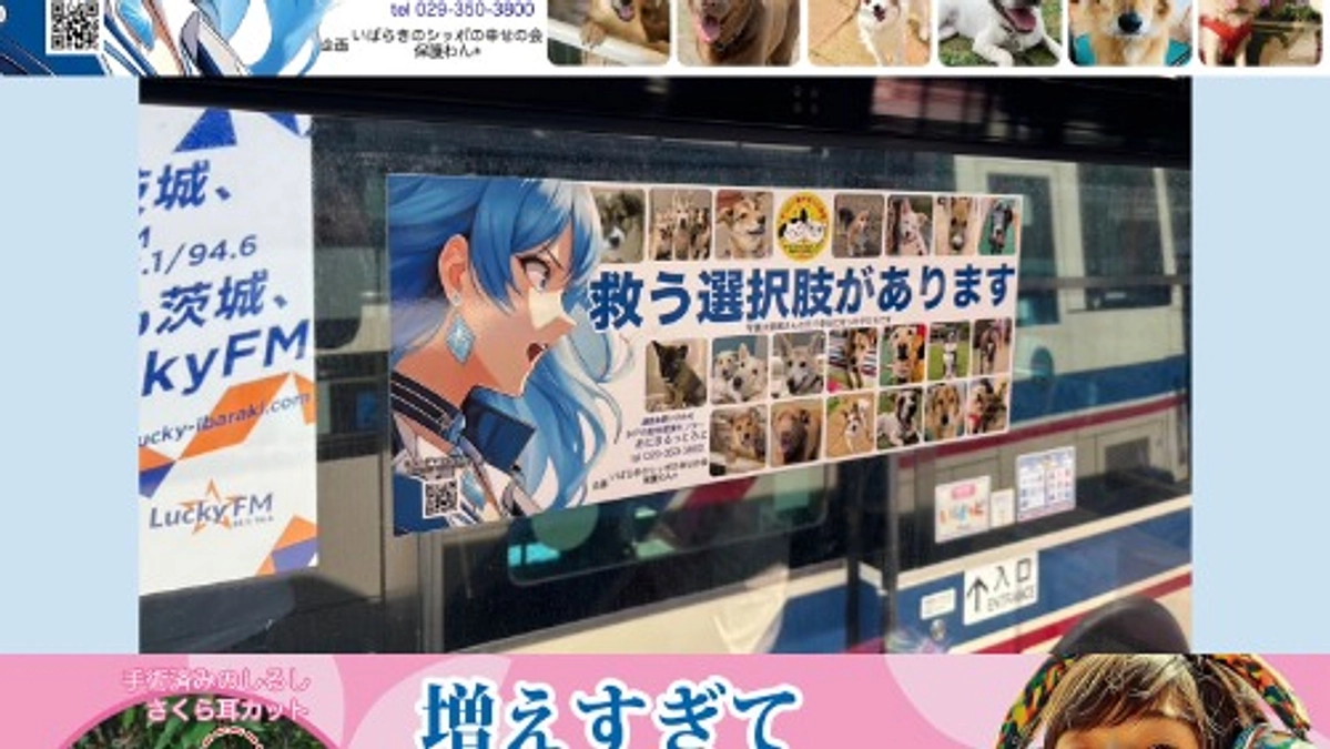 バス広告がリニューアルとなりました！！