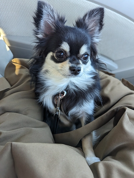 今日、手術です!!