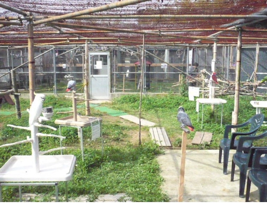 これまでの施設の学びが【羽生】で形になる理由