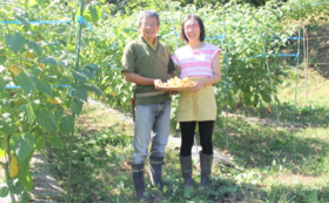 【佐藤夫婦を応援】お礼メール