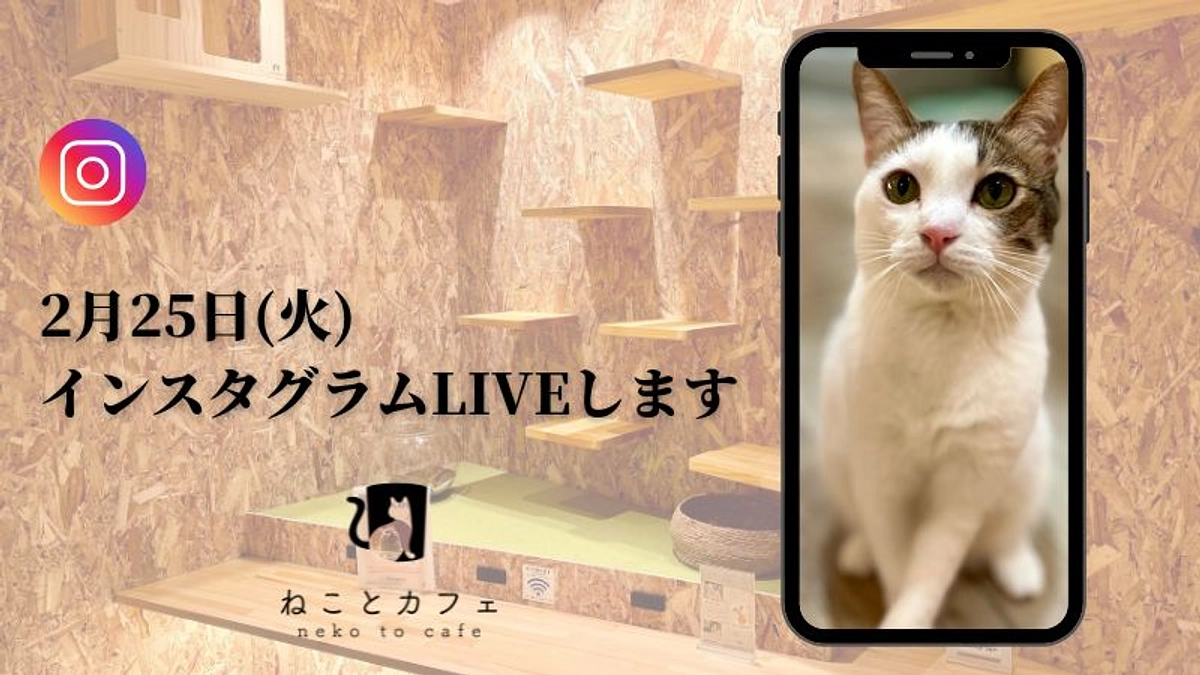 本日2月25日火曜日の18時半からインスタライブを店内から実施します！