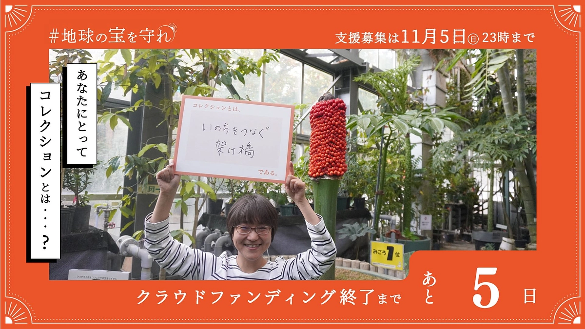 終了まであと5日 地球の宝を守れ｜国立科学博物館500万点の