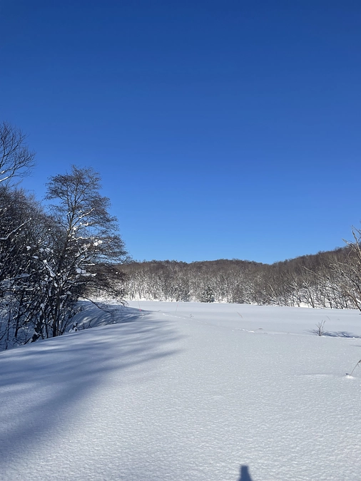 本日、1月20日（土）北海道新聞
