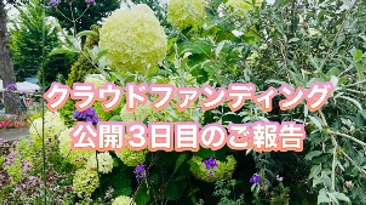 個人の自由意思と減税