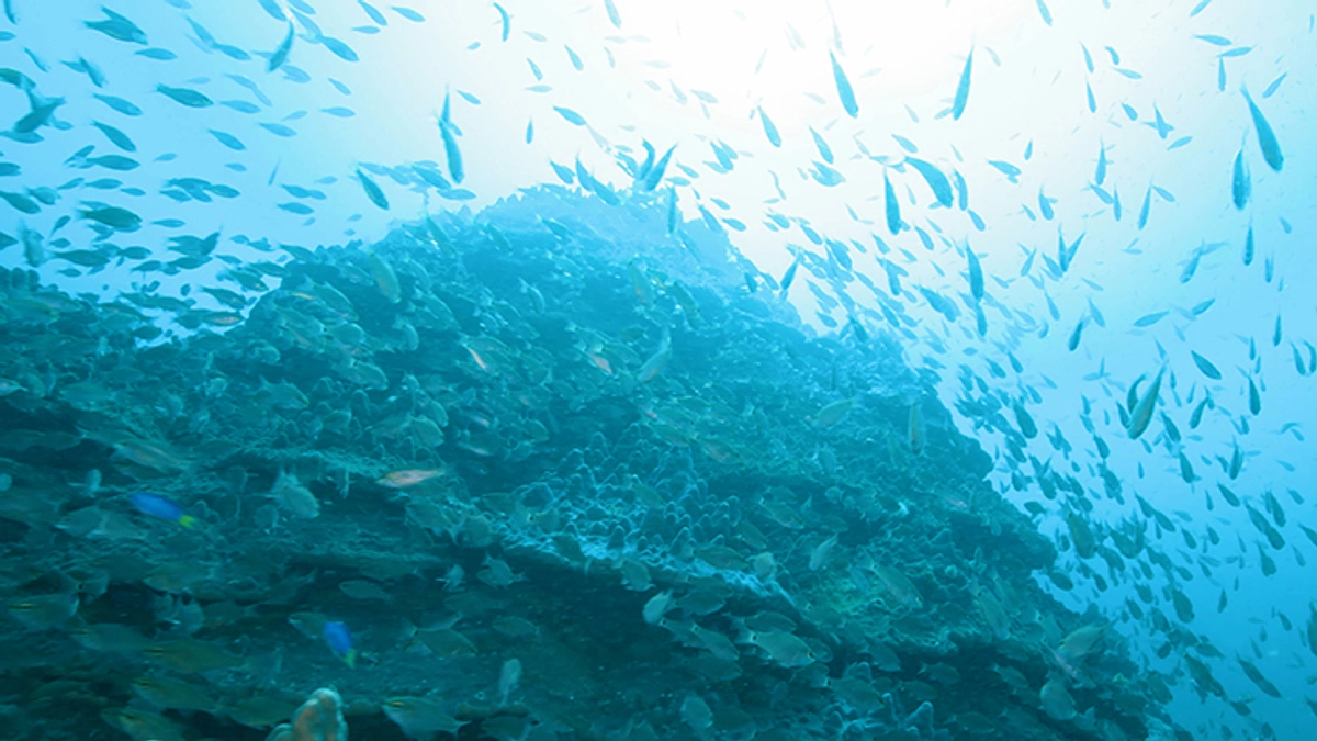 ポジティブ環境教育が第一歩目