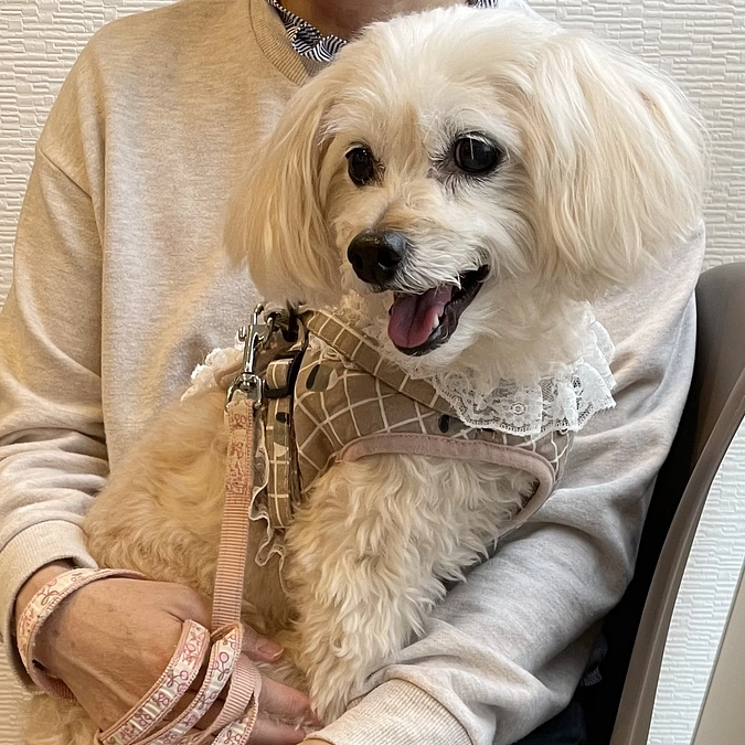 急遽病院へ……