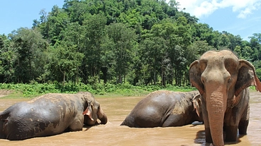 【タイ・チェンマイ】EMオーガニック現地農家を応援 のトップ画像