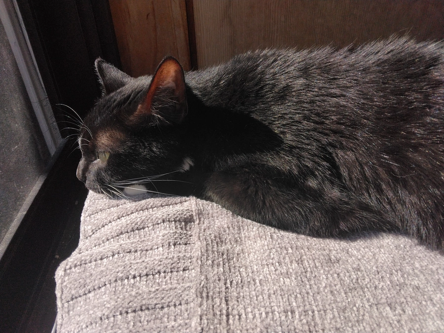 4/29はなちゃんの様子