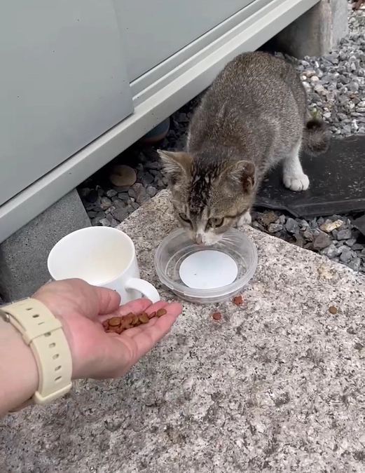 30%到達です！ありがとうございます！！！