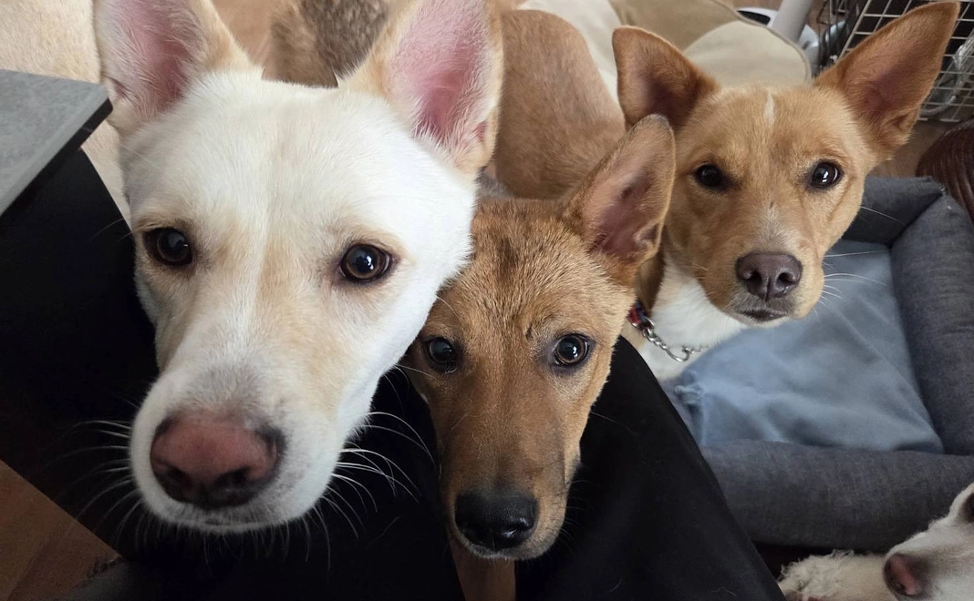 【リターン不要の方向け】全力応援コース｜10,000円