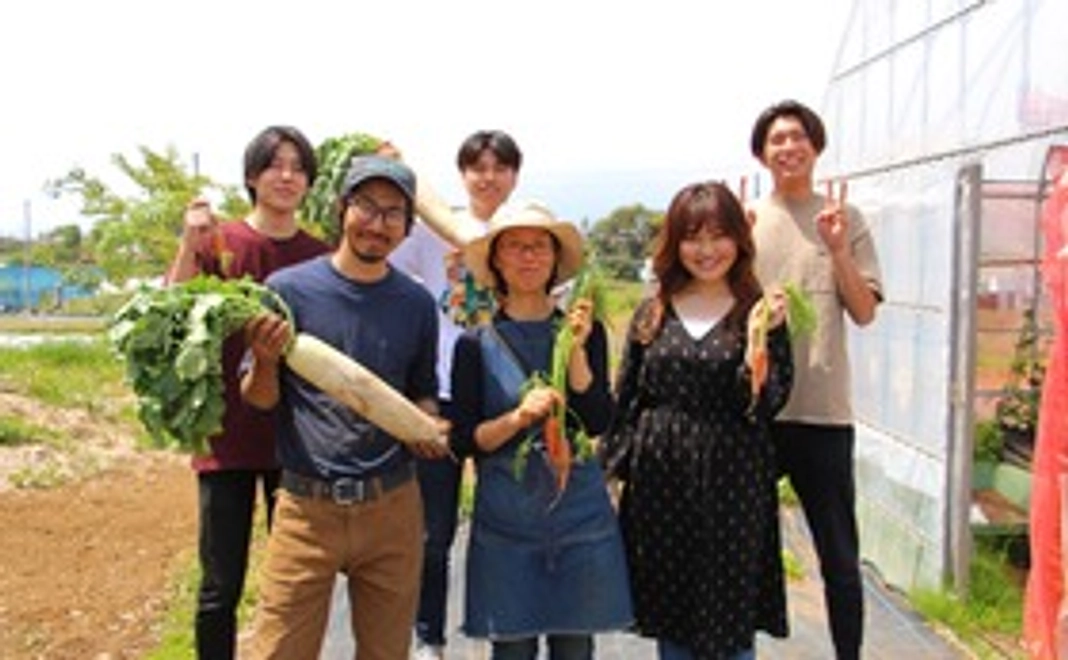 NAMIMATI全力応援コース（3000円）