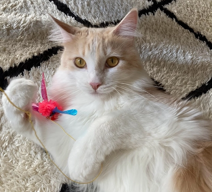 10/14ルイの様子