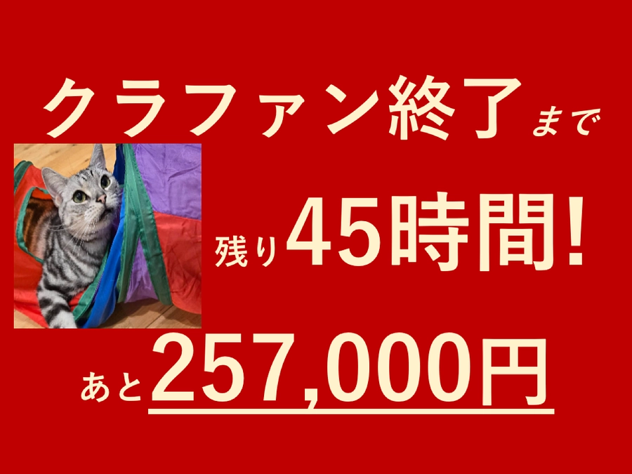 クラファン終了まであと１日‼️