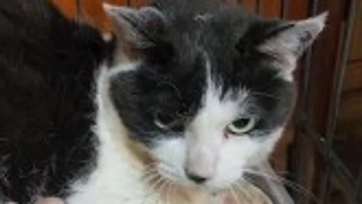 🆘️クラウドファンディング残り5️⃣時間を切りました🆘️