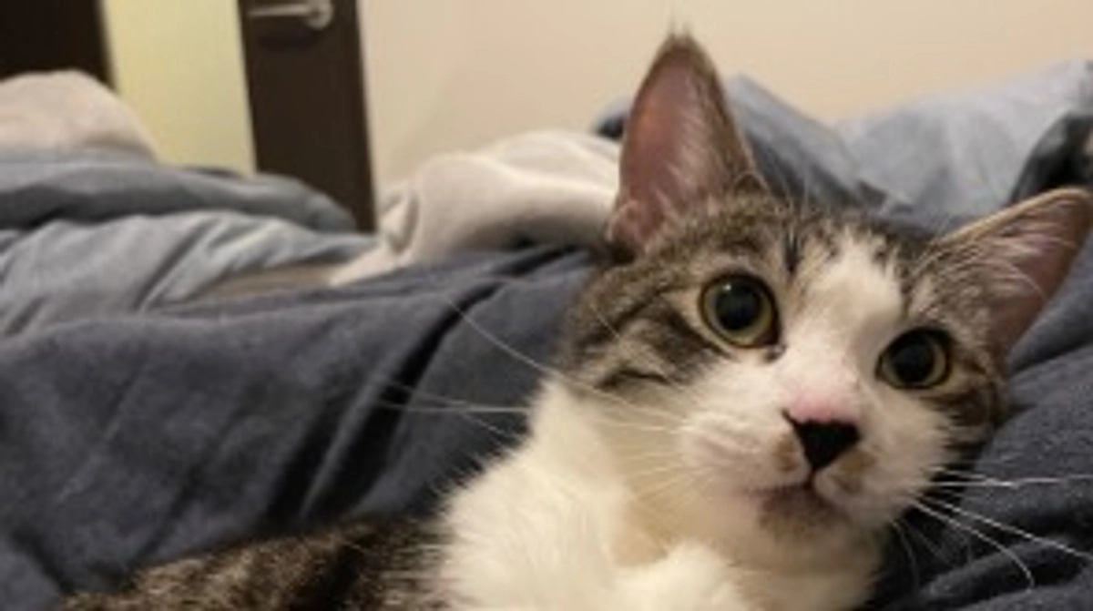 どんどん大きくなってきました