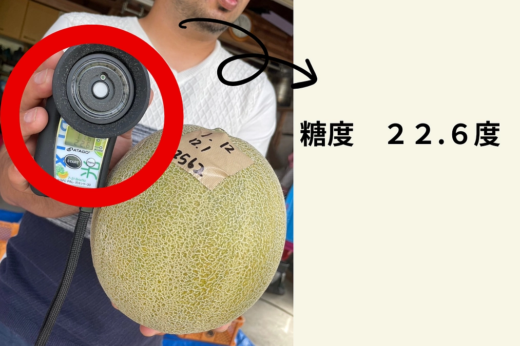 挑戦終了まで…あと7日！