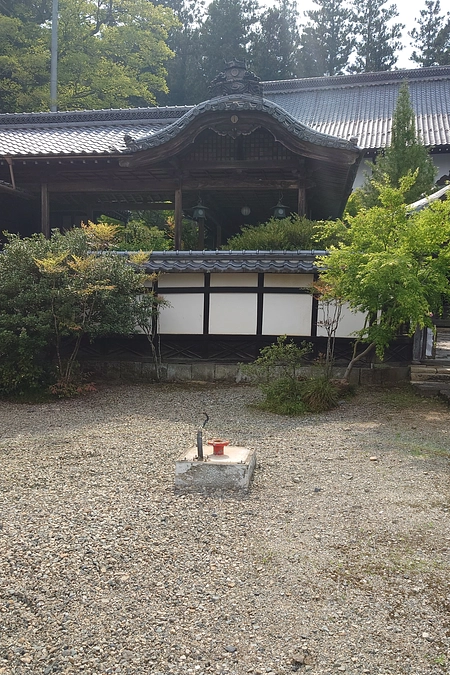 いよいよ始まりました