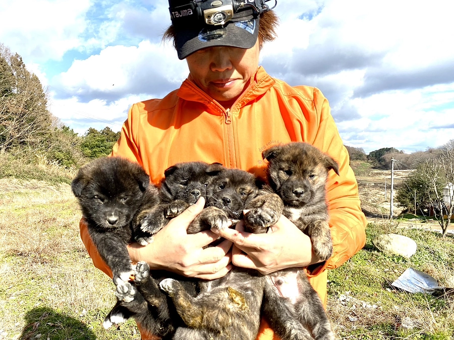 震災のことと、応援メッセージ。