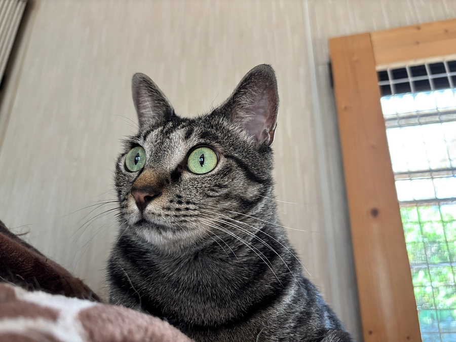 今更ながら…プロジェクト始めていますー！