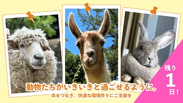 41年間みんなに愛される岡崎市東公園動物園。動物の住環境向上へ！ のトップ画像